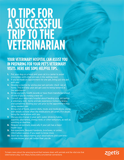 animal health infographic: 10 tips for a successful trip to the veterinarian