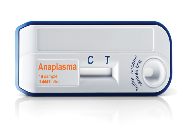 Anaplasma Rapid Test